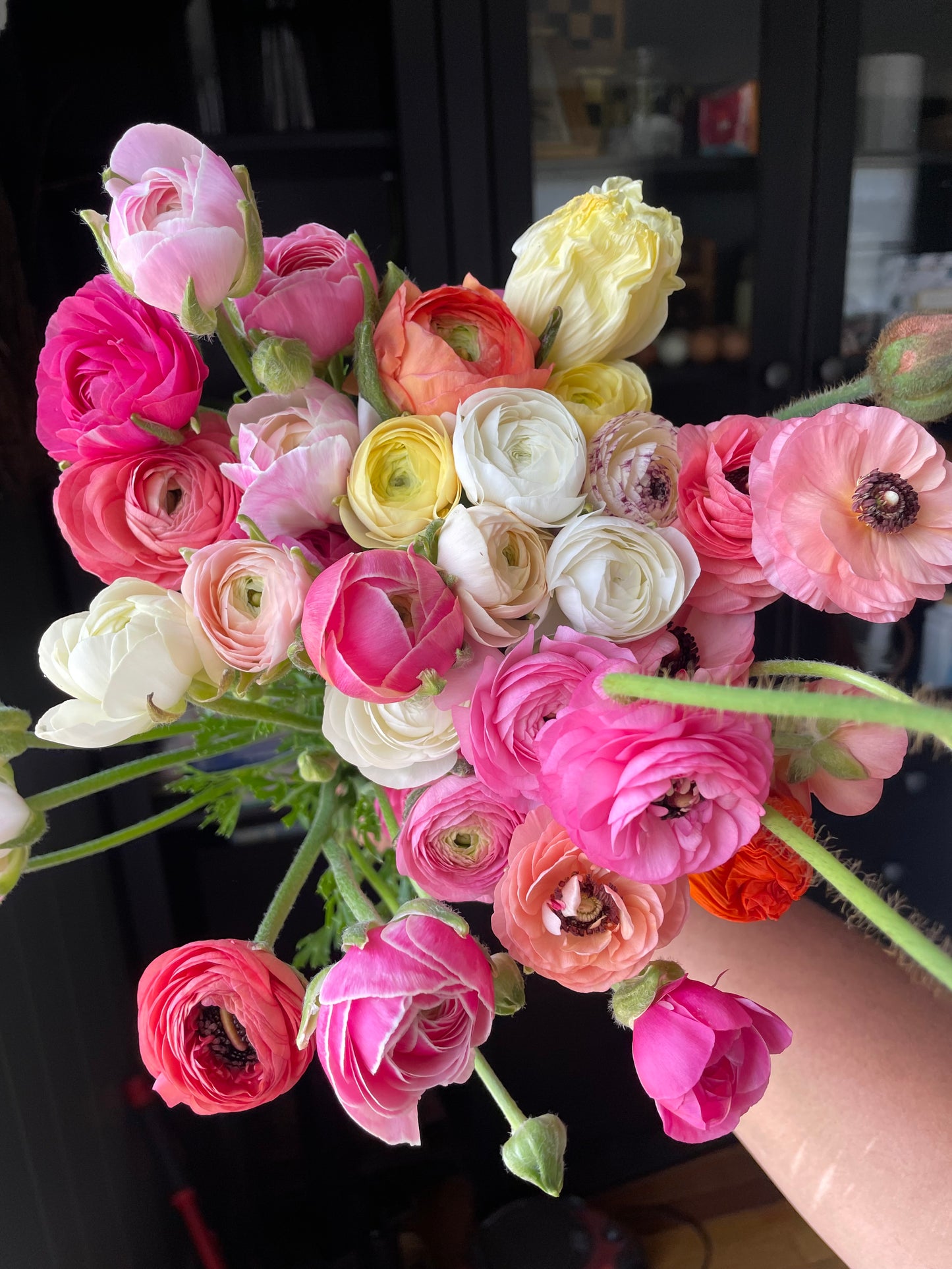 Ranunculus Bunch