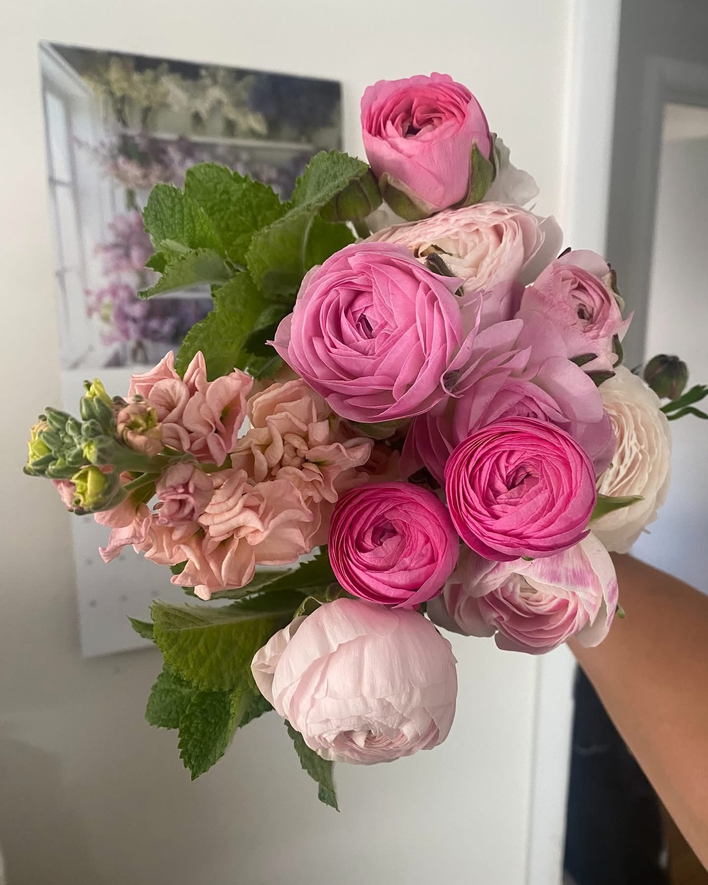Delivery Only - 6 Weeks - Spring Flower Club