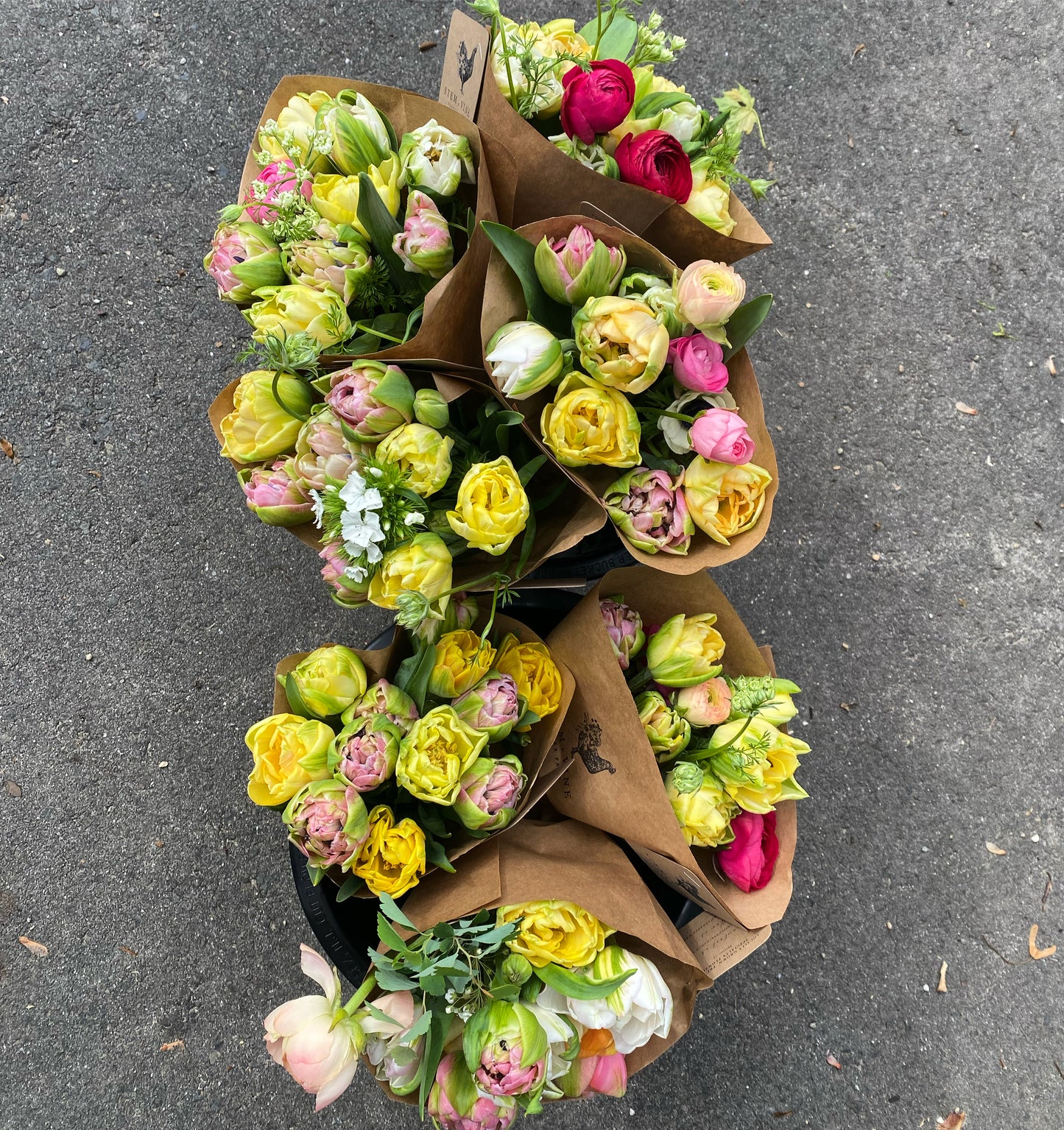 Pickup Only- 3 Weeks (Biweekly) - Spring Flower Club