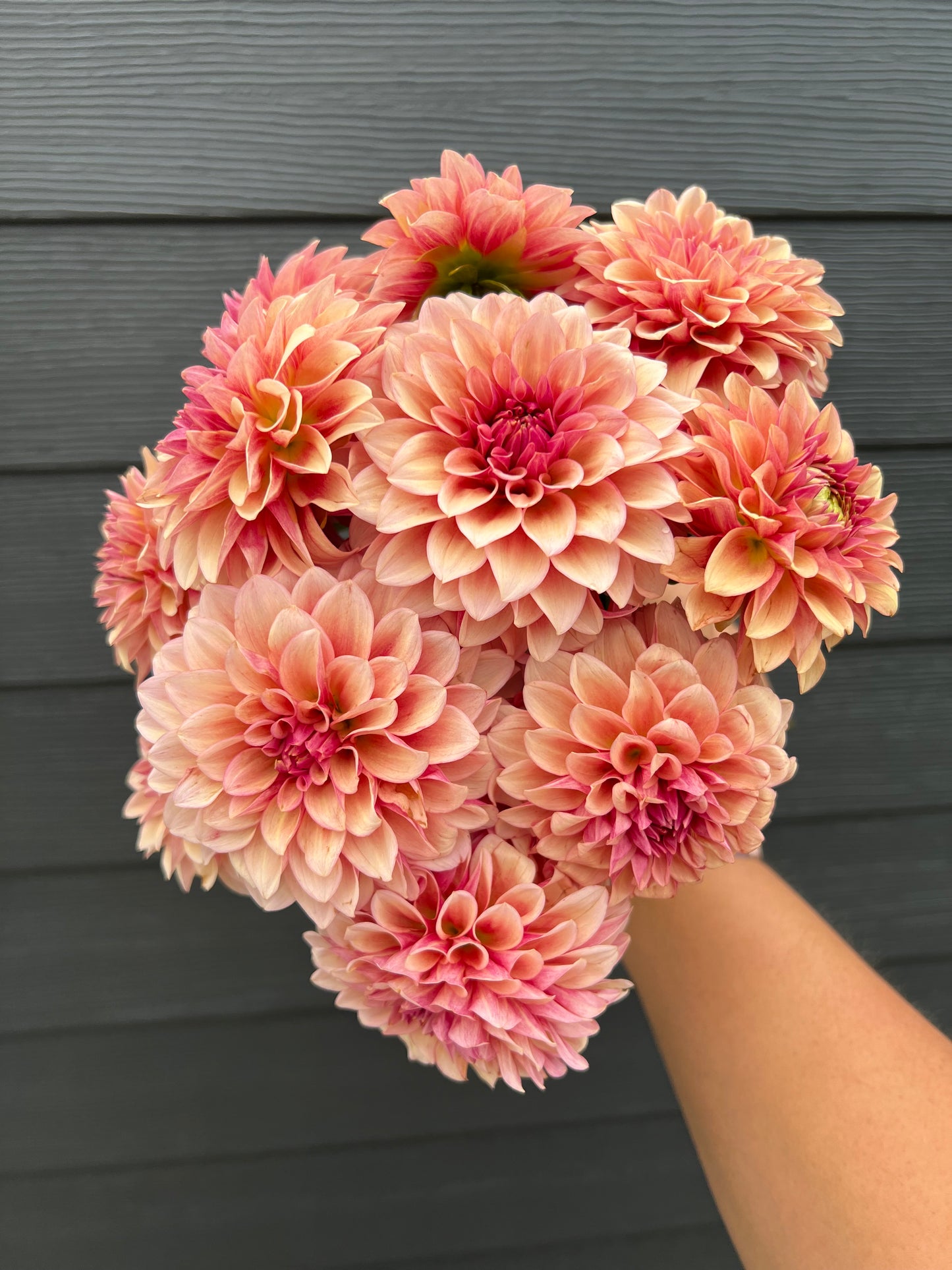 RM Rose Gold