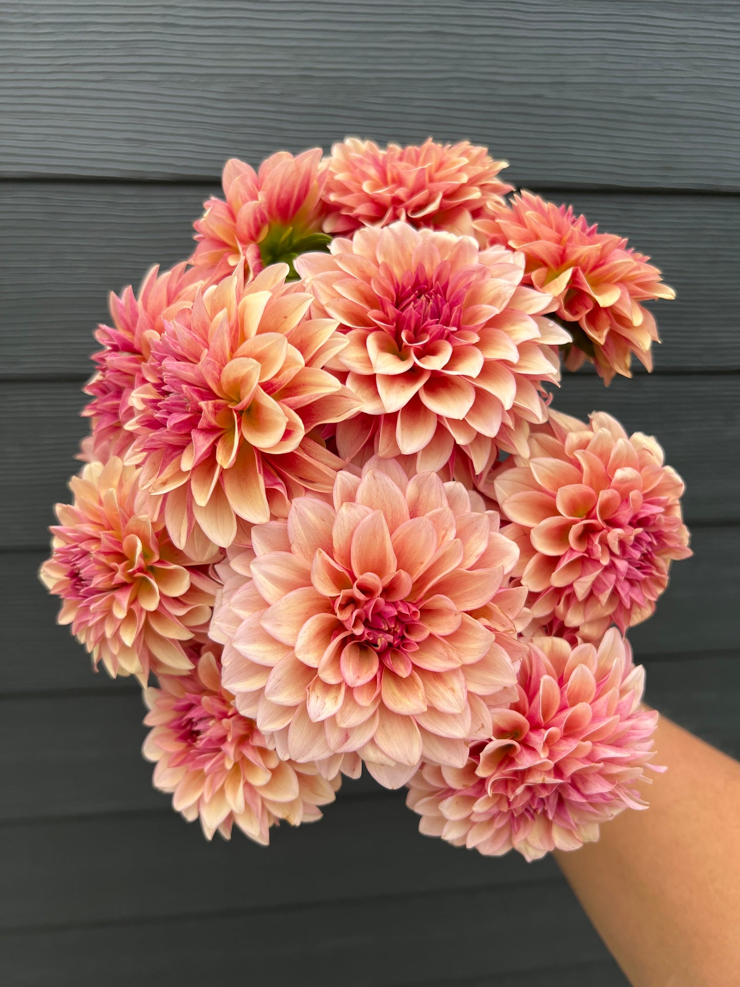 RM Rose Gold