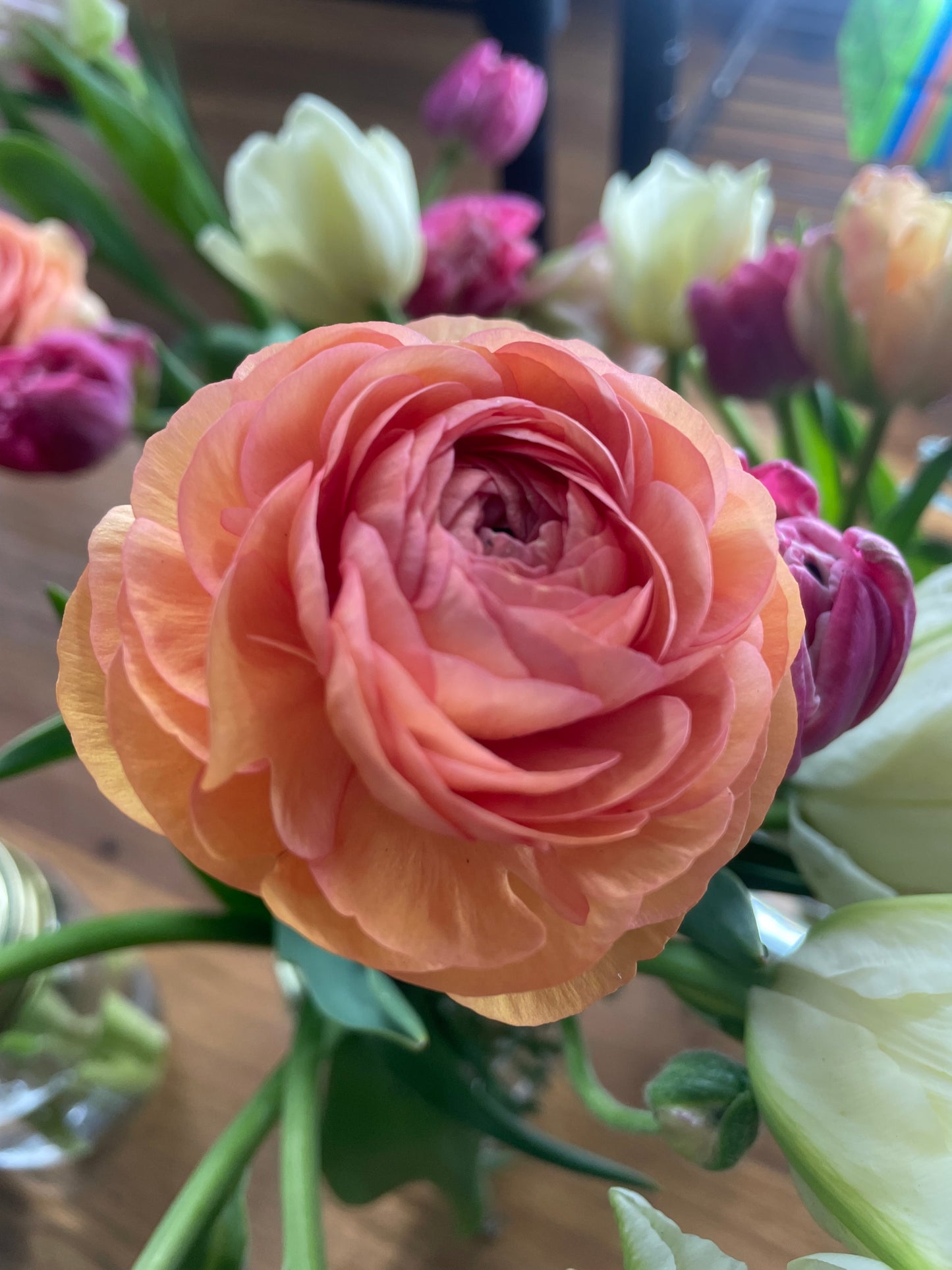 Ranunculus Half Clone Tango