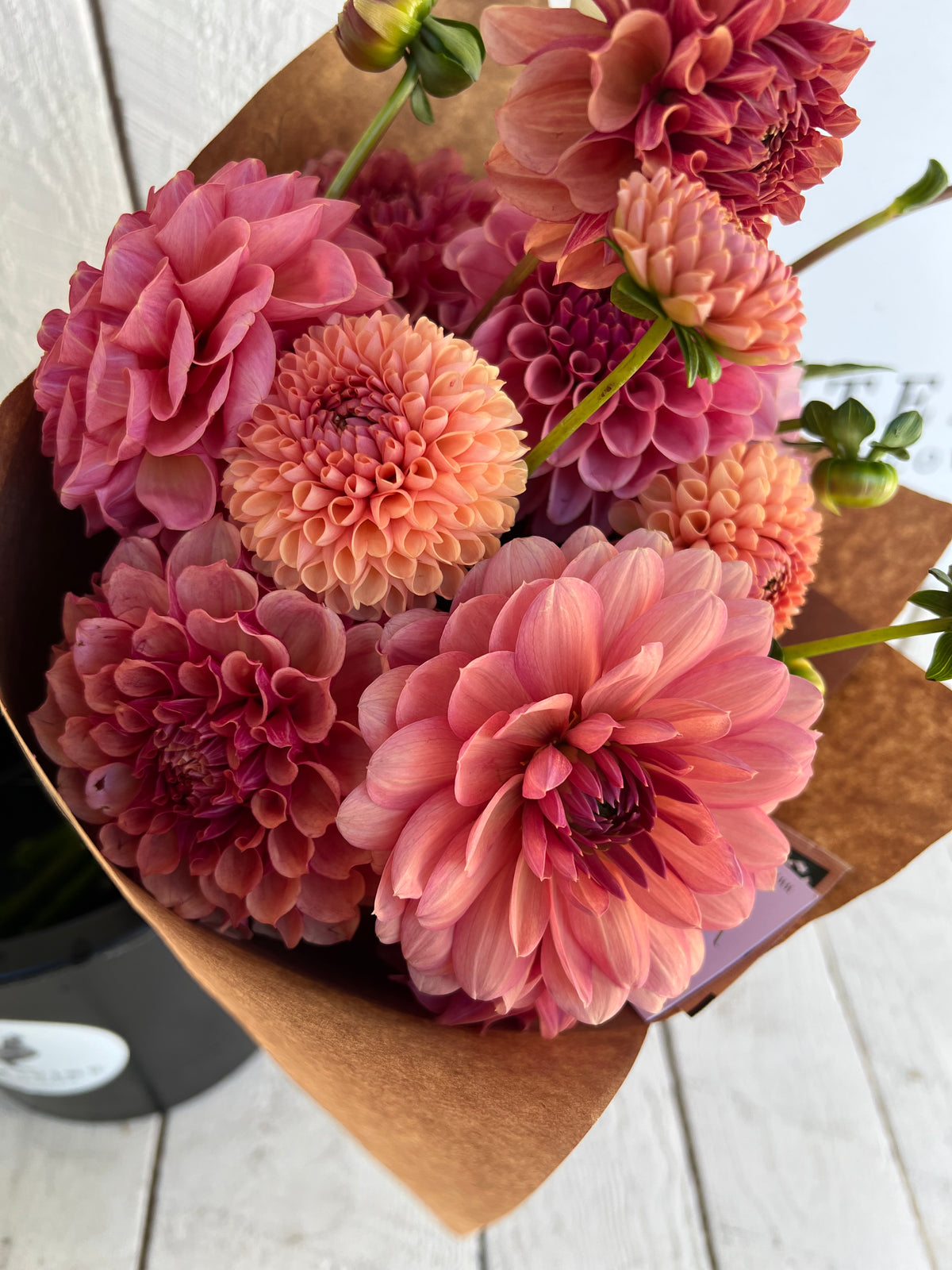 Dahlia Bunch