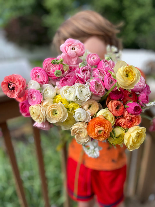 Ranunculus Bunch