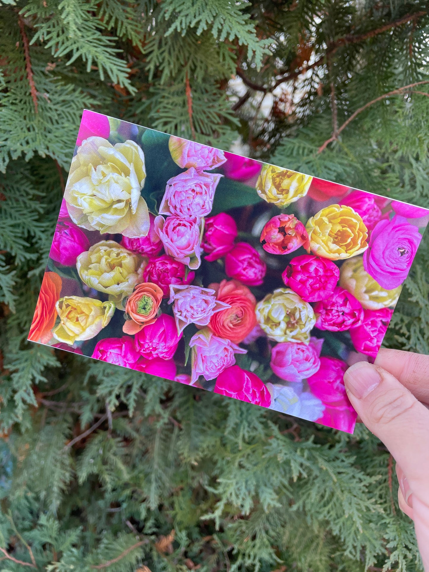 Holiday Gift Bag (Add On to a gifted membership)