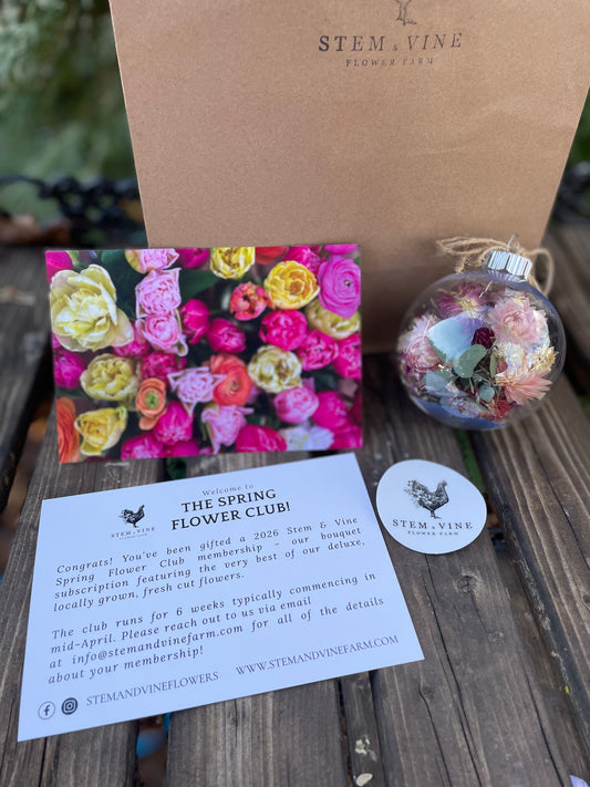 Holiday Gift Bag (Add On to a gifted membership)