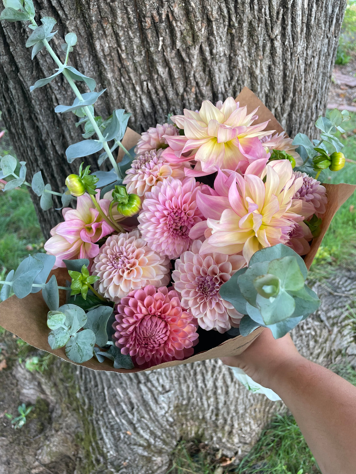 Dahlia & Eucalyptus Bouquet