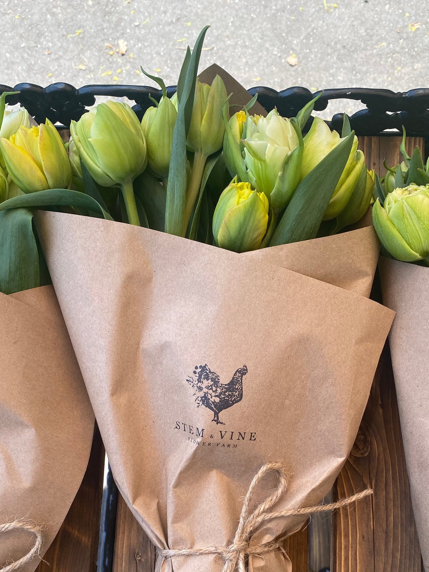 Pickup Only- 3 Weeks (Biweekly) - Spring Flower Club
