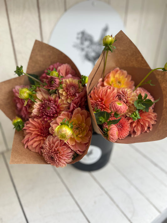 Dahlia Bunch