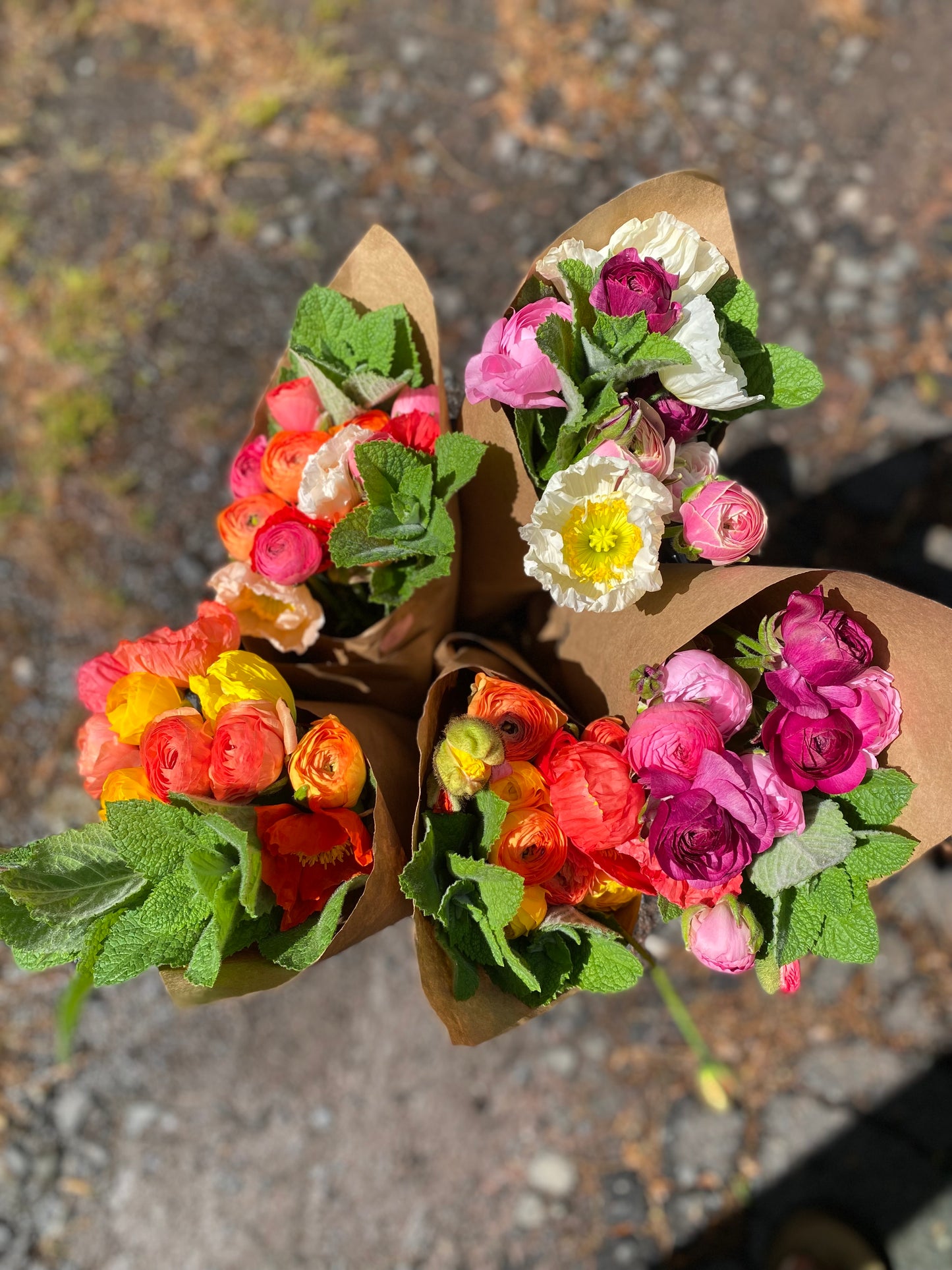 Pickup Only- 6 Weeks - Spring Flower Club