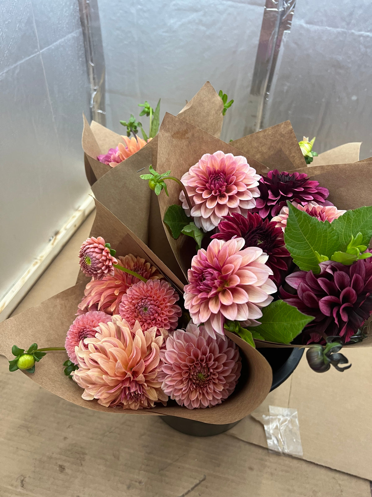 Dahlia Bunch