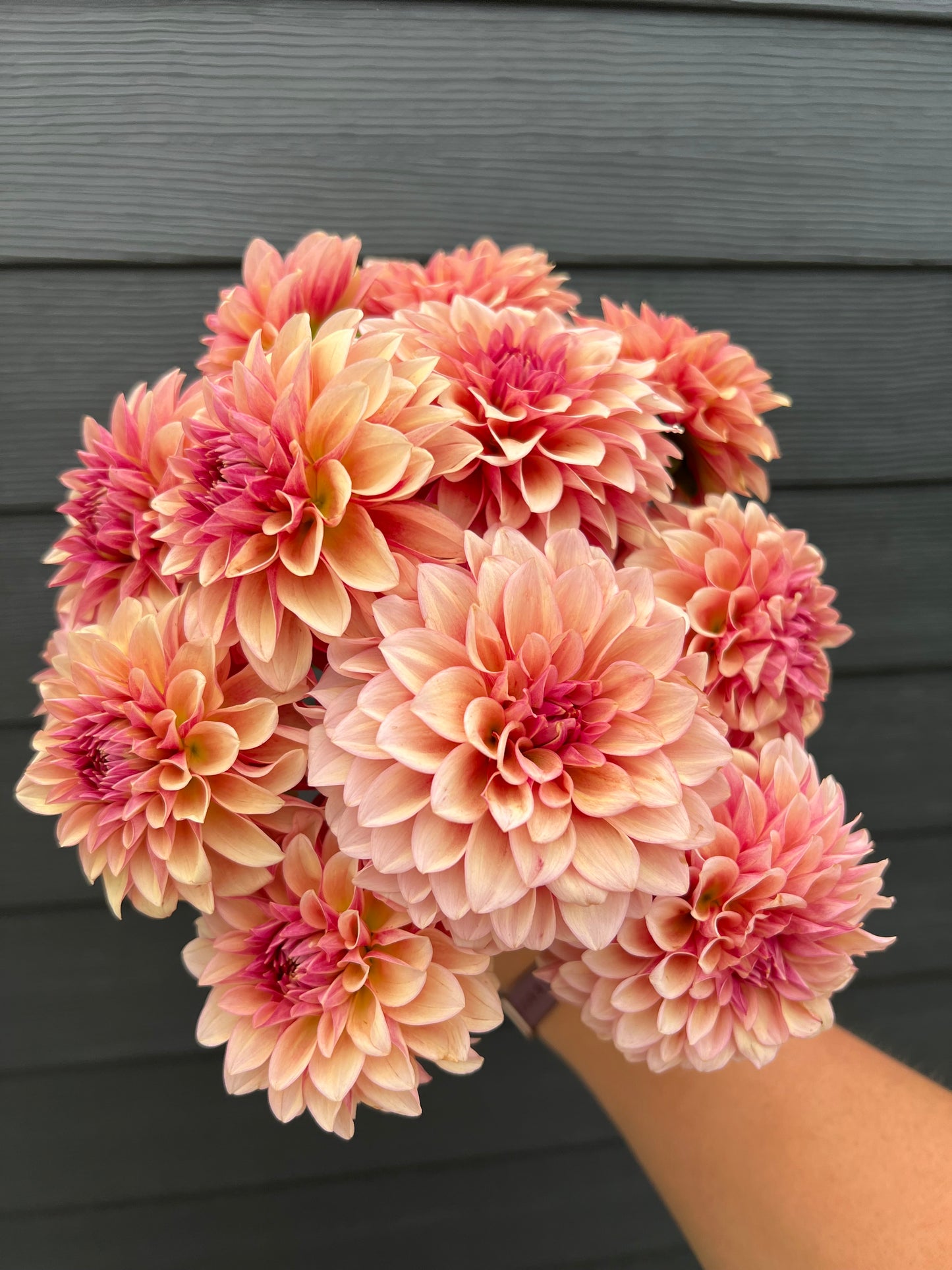 RM Rose Gold