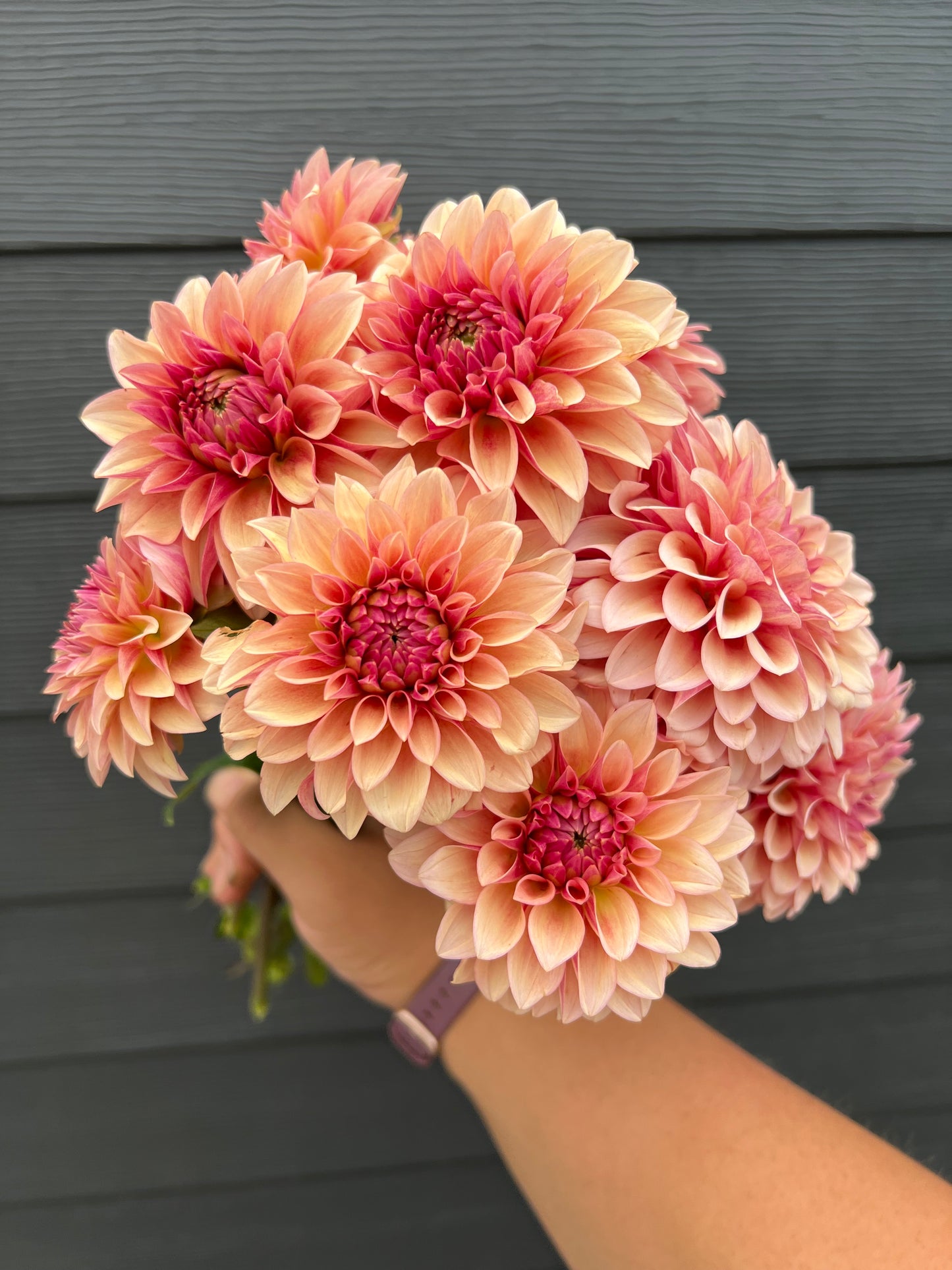 RM Rose Gold