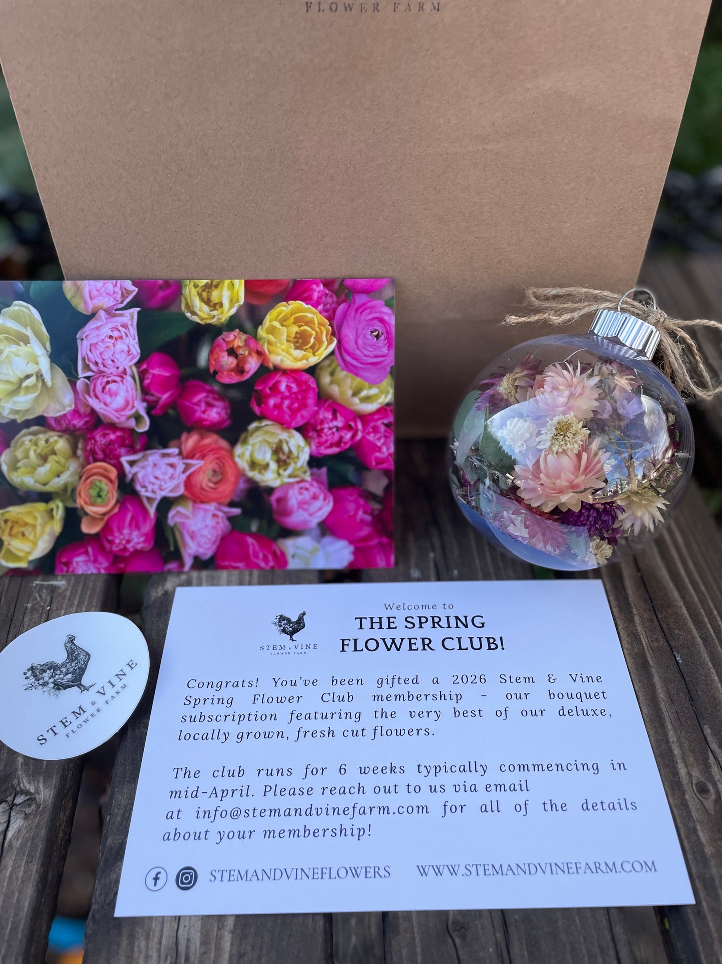 Holiday Gift Bag (Add On to a gifted membership)