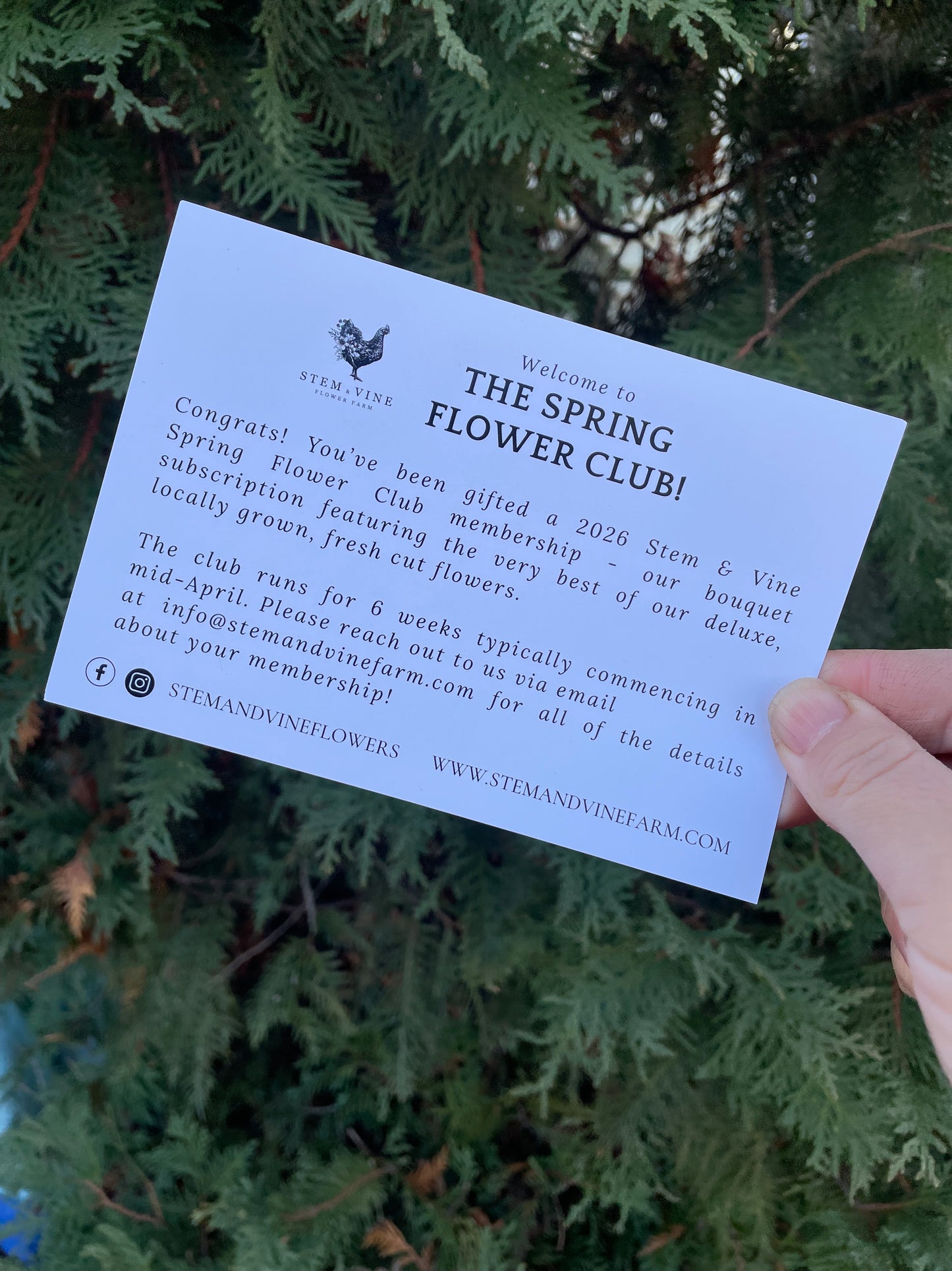 Holiday Gift Bag (Add On to a gifted membership)