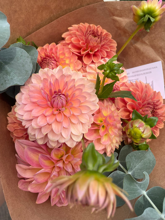 Dahlia & Eucalyptus Bouquet