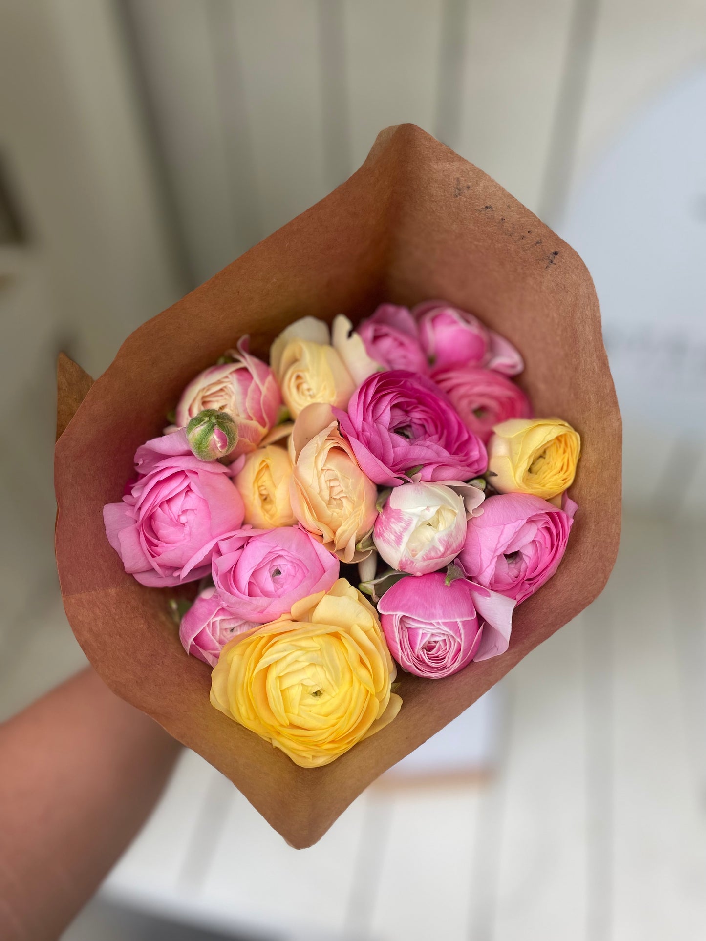 Ranunculus Bunch