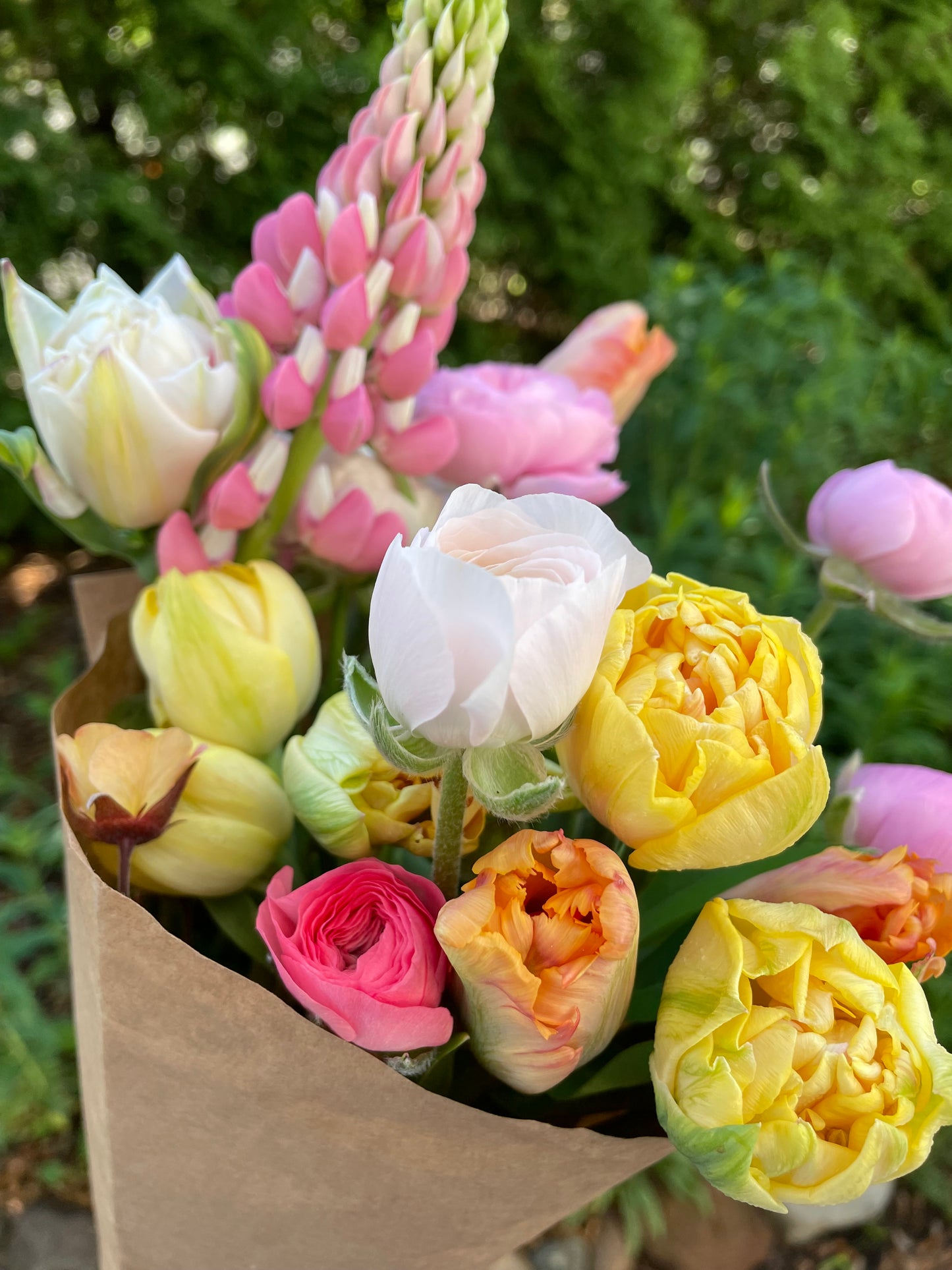 Weekly Delivery  - 6 Weeks - Spring Flower Club